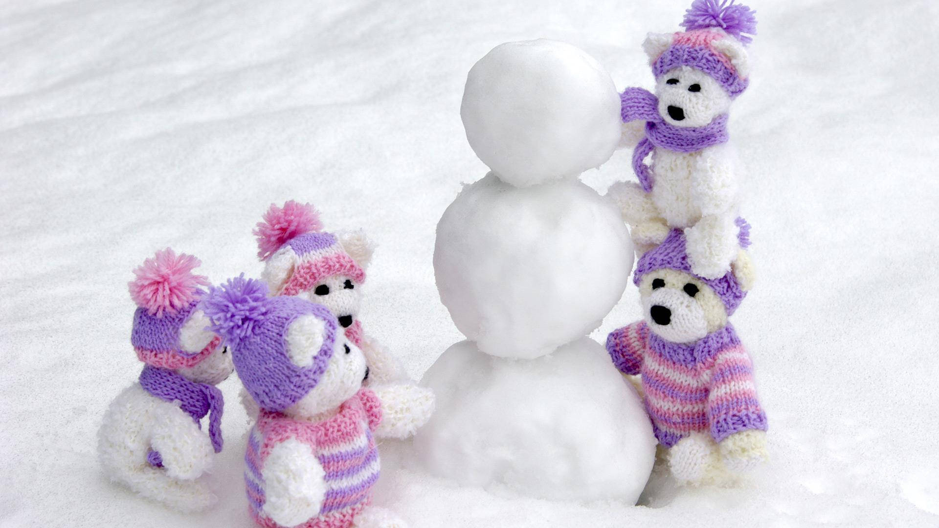 white teddy bear, knitted teddy bears, purple pink hats, Full HD Desktop Wallpaper