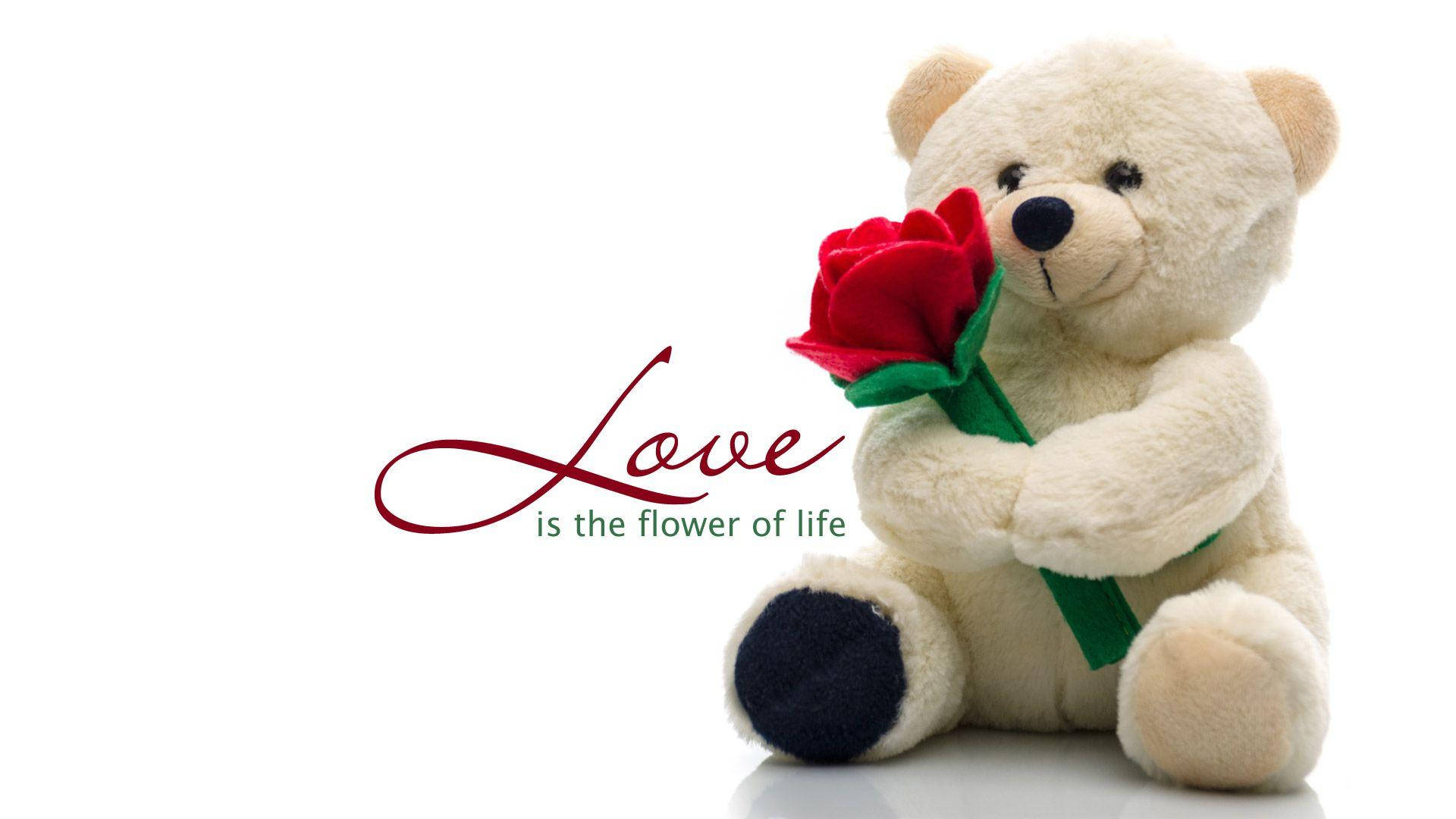 teddy bear, flower, vibrant red rose, Full HD Desktop Wallpaper