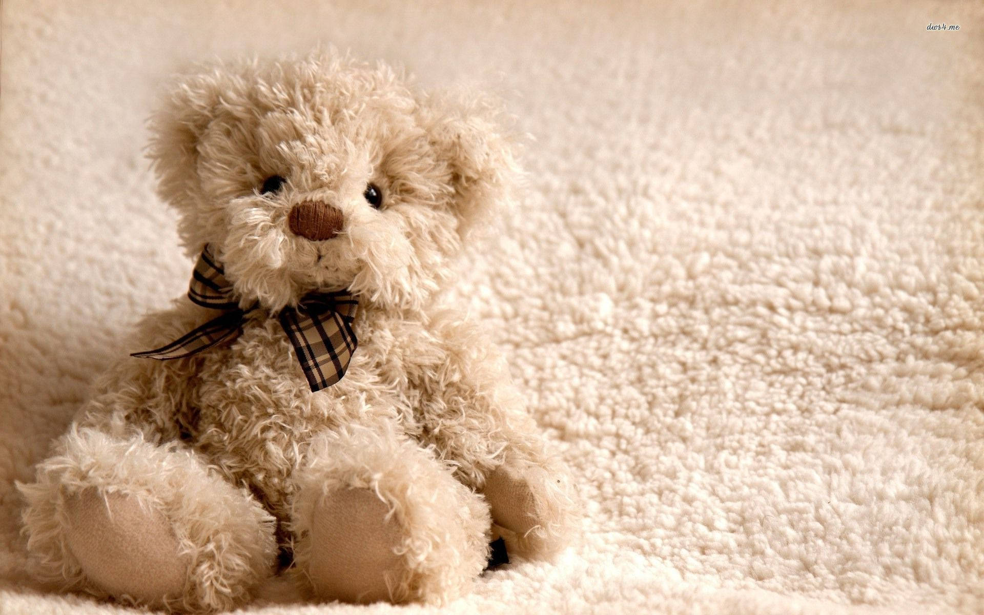 vintage teddy bear, fluffy beige teddy bear, plaid bow, Full HD Desktop Wallpaper