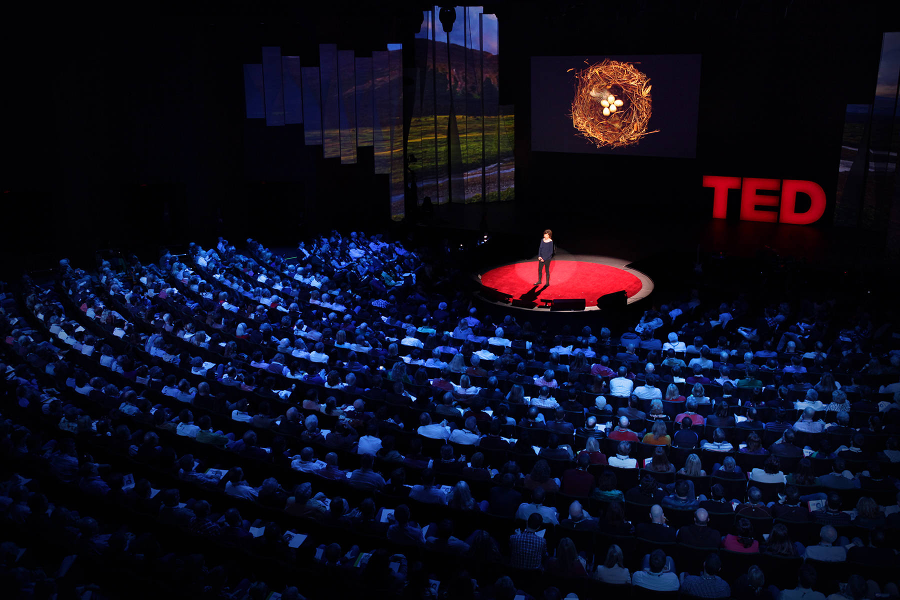 Tedx Talks Spotlight, red circular stage, dark auditorium, HD Desktop Wallpaper