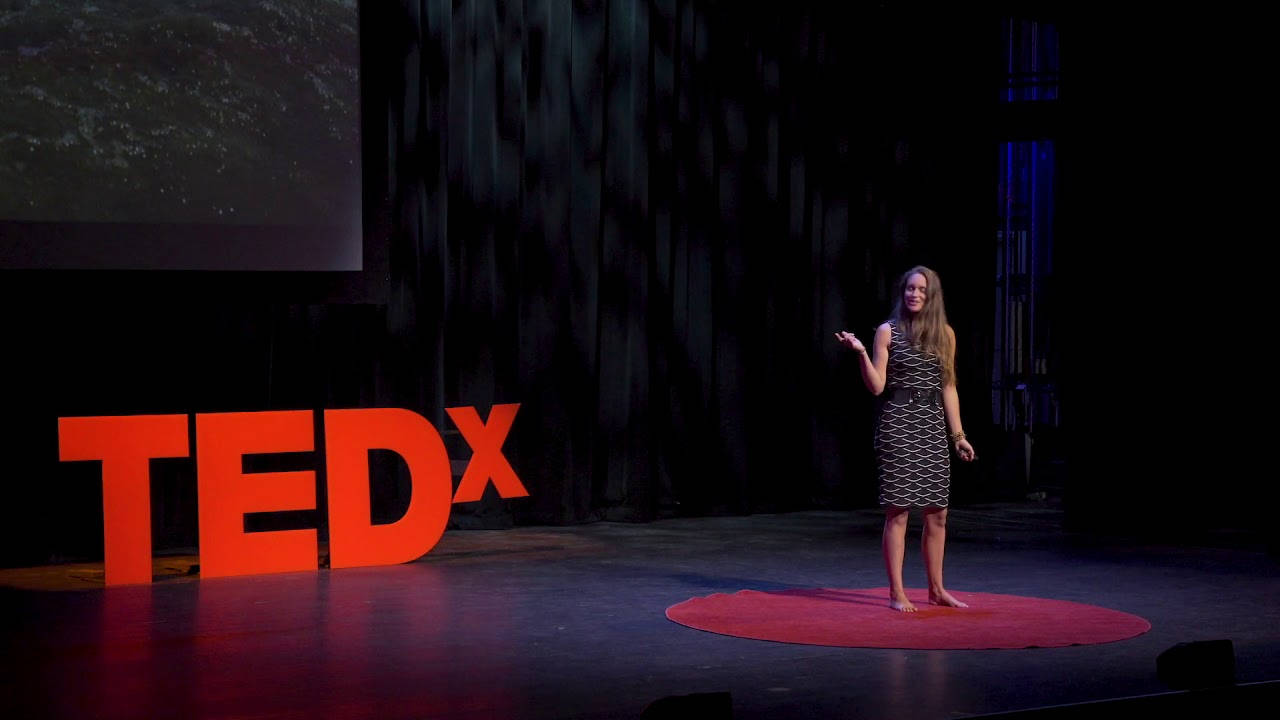 TEDx, red circular rug, dimly lit stage, HD Desktop Wallpaper