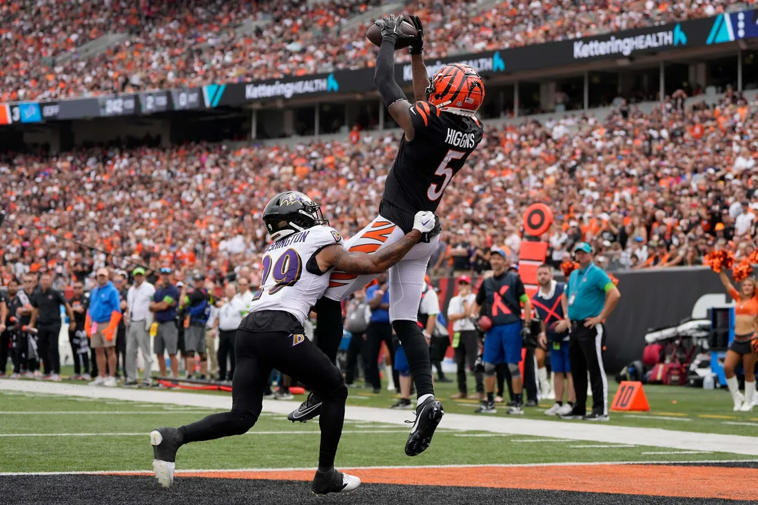 Tee Higgins