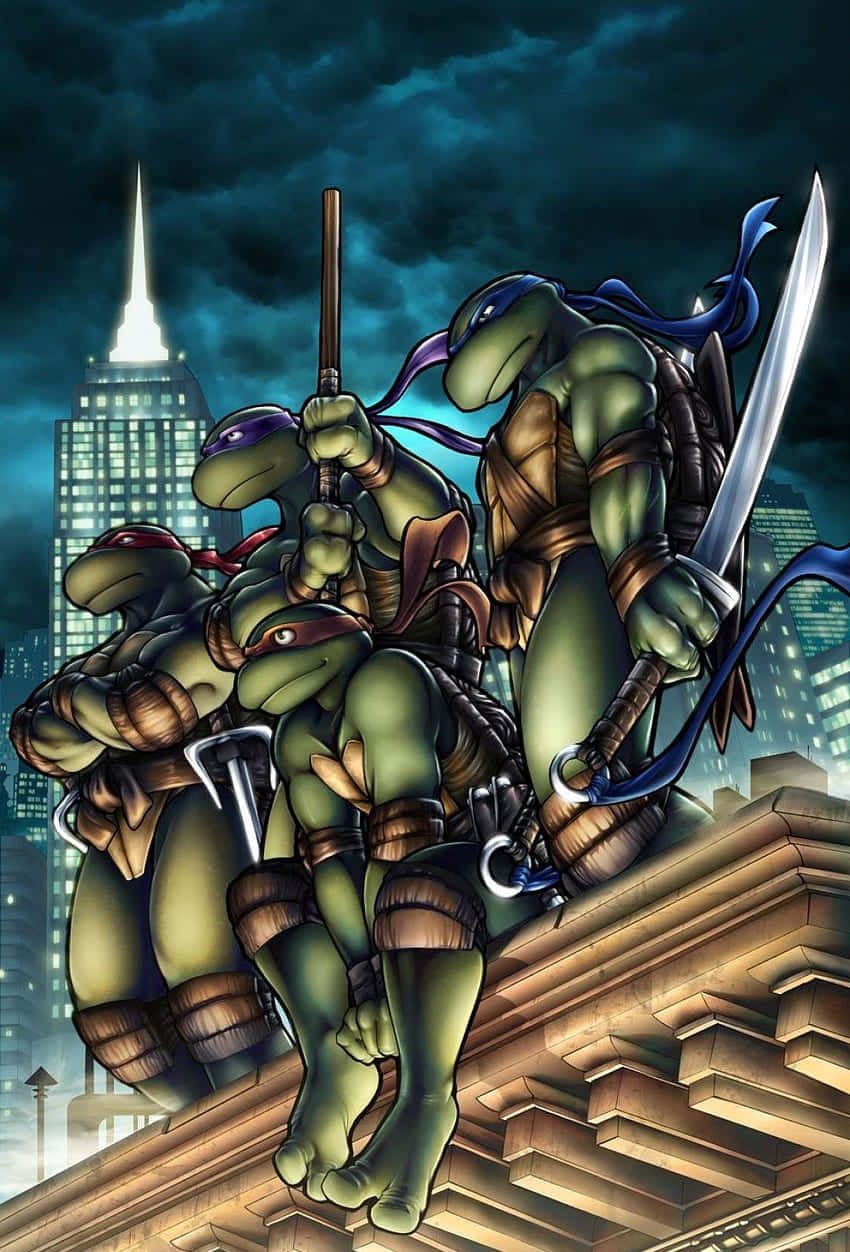 Teenage Mutant Ninja Turtles, rooftop, night, SD Phone Wallpaper
