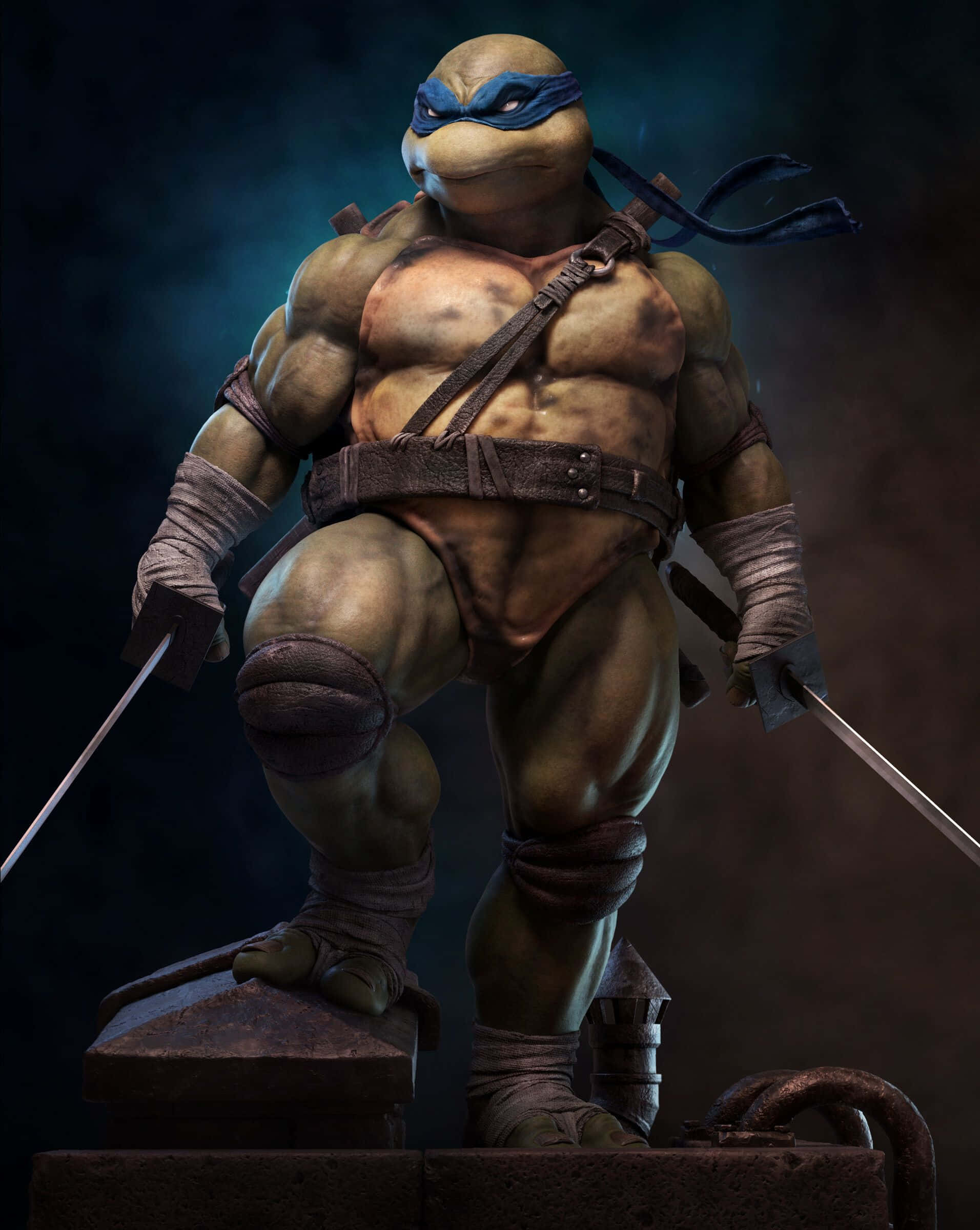Teenage Mutant Ninja Turtles, blue-masked turtle warrior, dual katanas, Full HD Phone Wallpaper