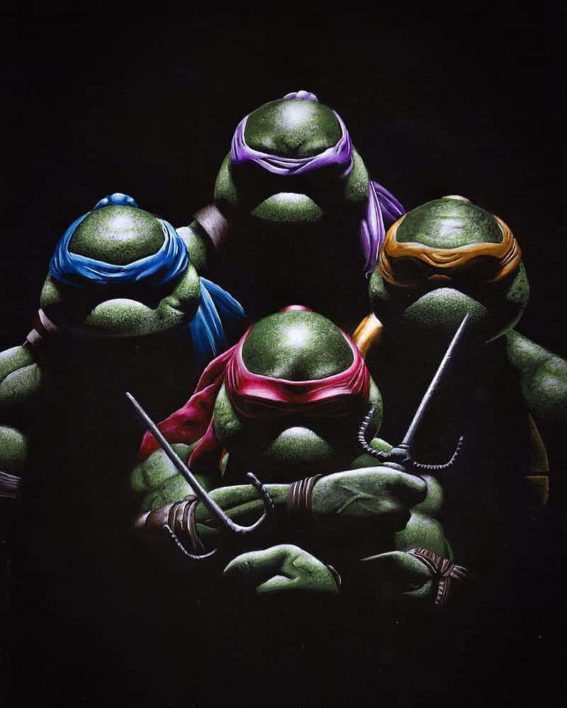 Teenage Mutant Ninja Turtles, green ninja turtles, colored masks, SD Phone Wallpaper