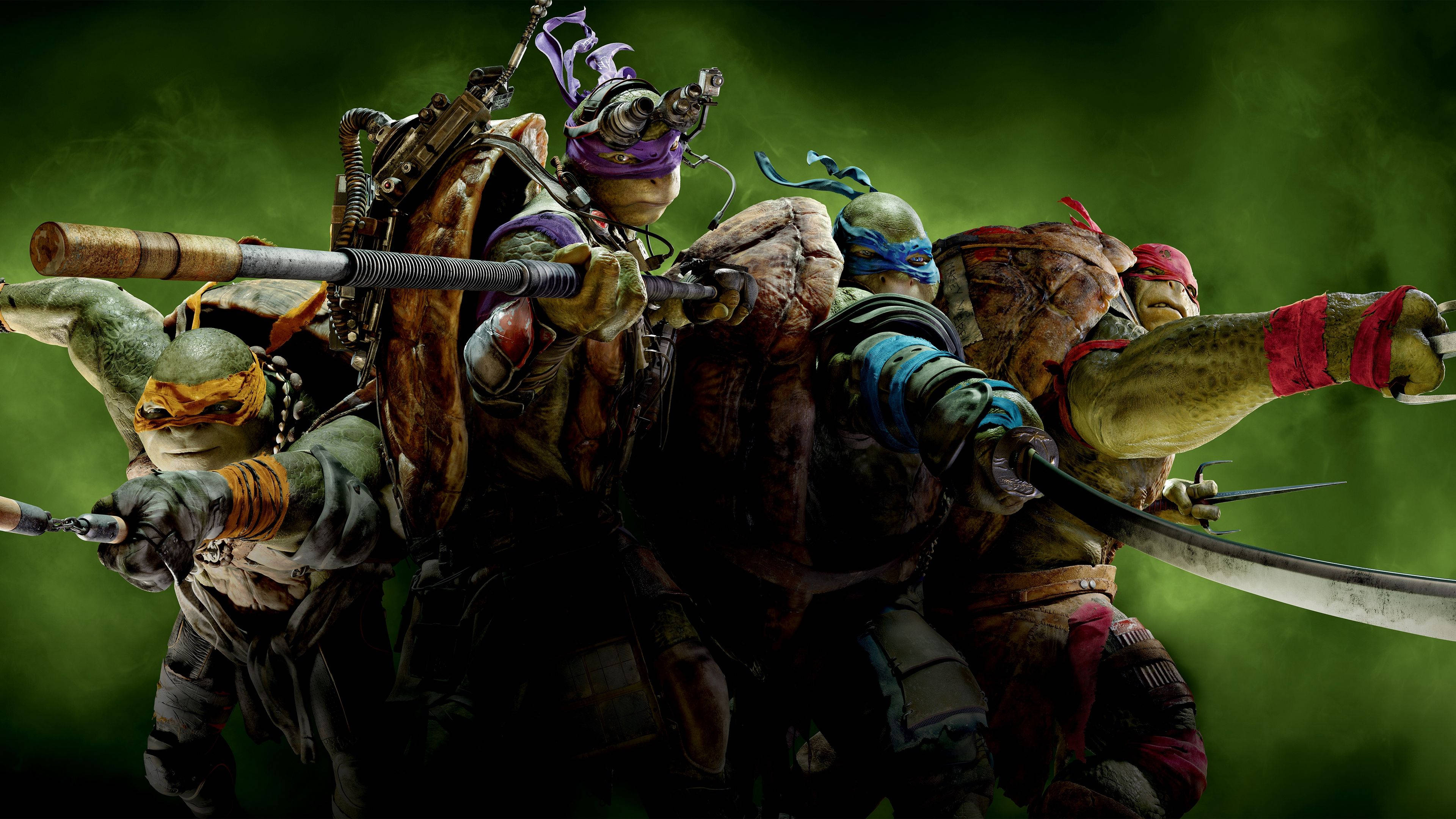 Teenage Mutant Ninja Turtles, green background, combat stances, 4K Desktop Wallpaper