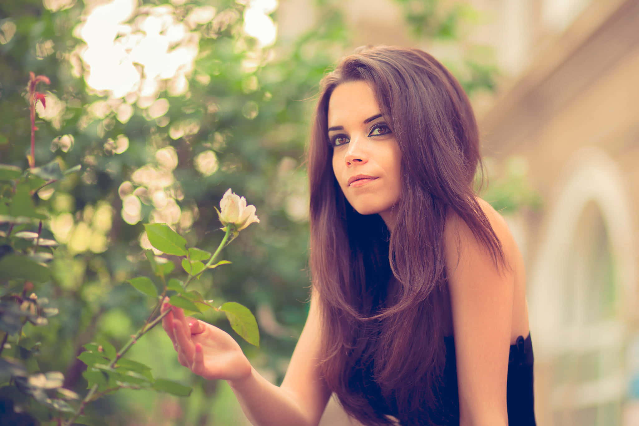 young teenage girl, white rose, sunlit garden, Full HD Desktop Wallpaper