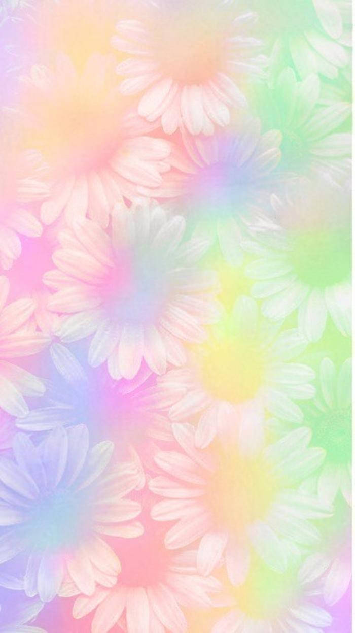 Telegram, white flowers, rainbow colors, SD Phone Wallpaper
