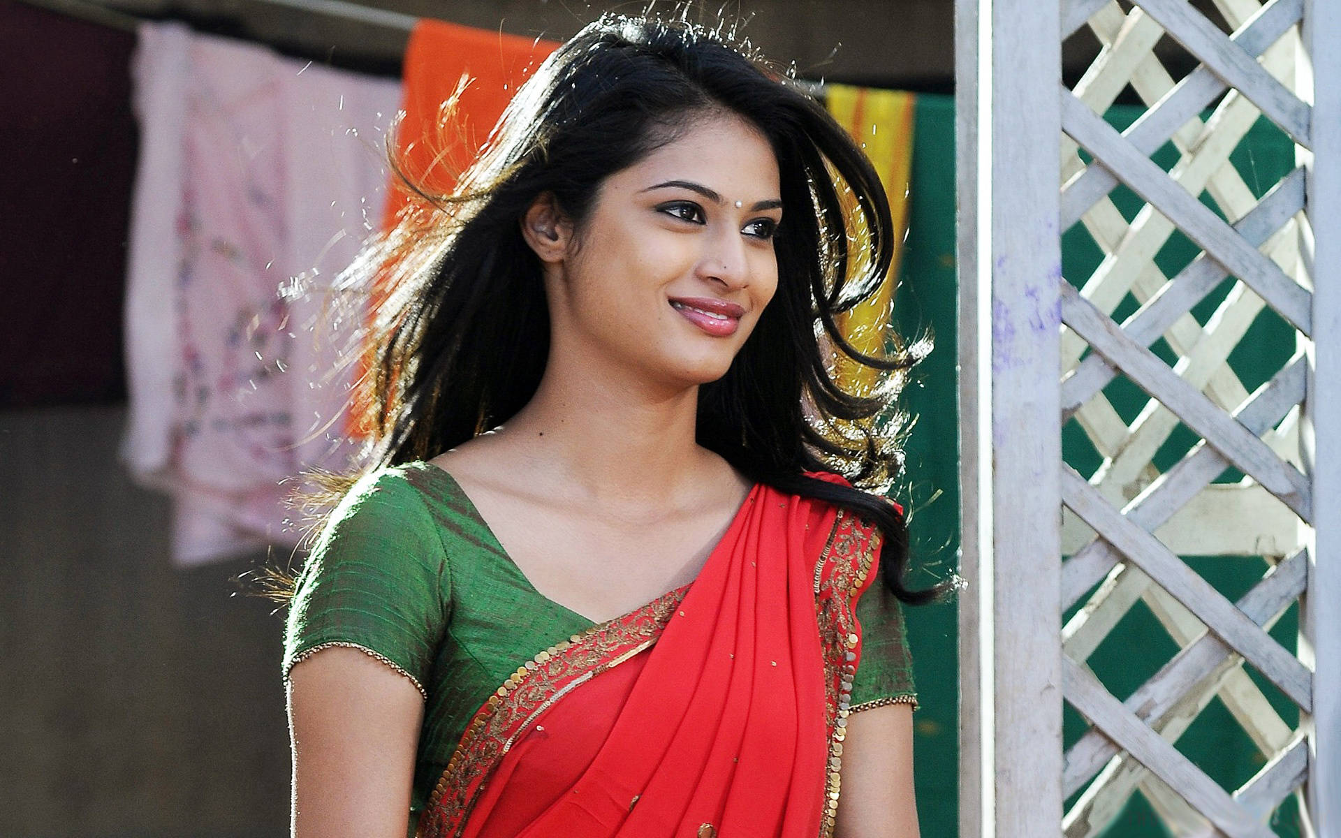 red and green sari, lattice fence, sunlight, Full HD Desktop Wallpaper