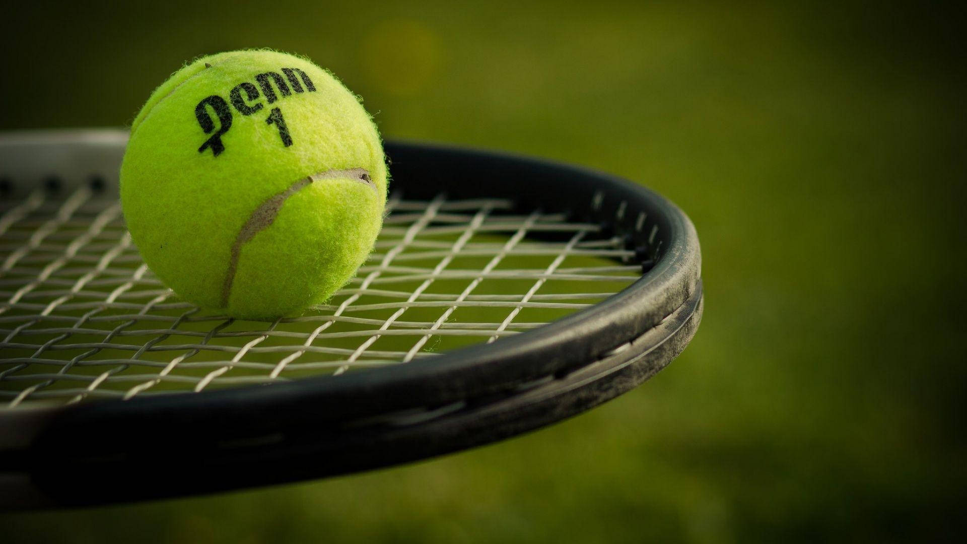 tennis ball, black racket, green grass background, Full HD Desktop Wallpaper