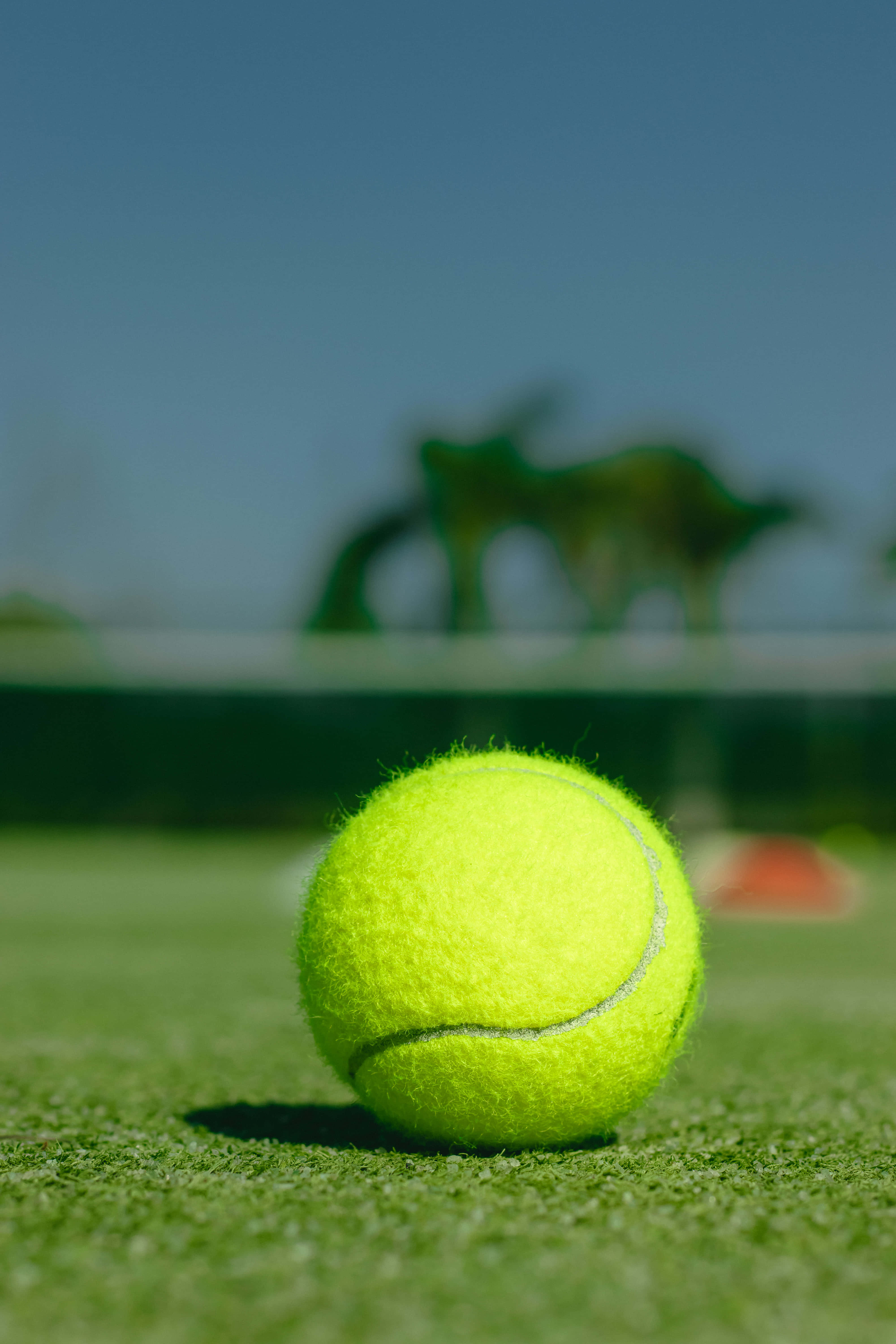 tennis ball, tennis court, green grass, 5K Phone Wallpaper