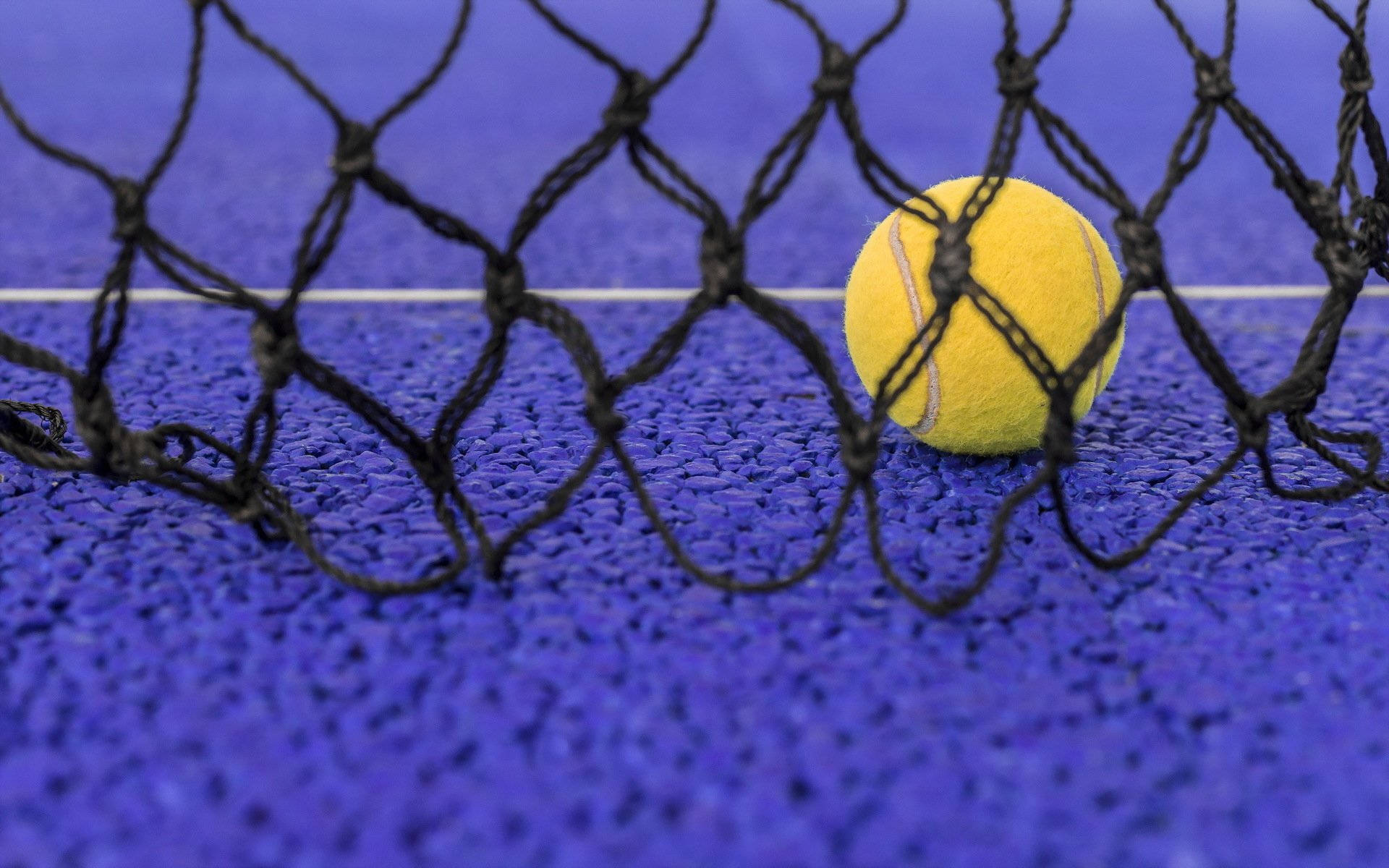 tennis ball, black net, vivid blue textured court surface, Full HD Desktop Wallpaper