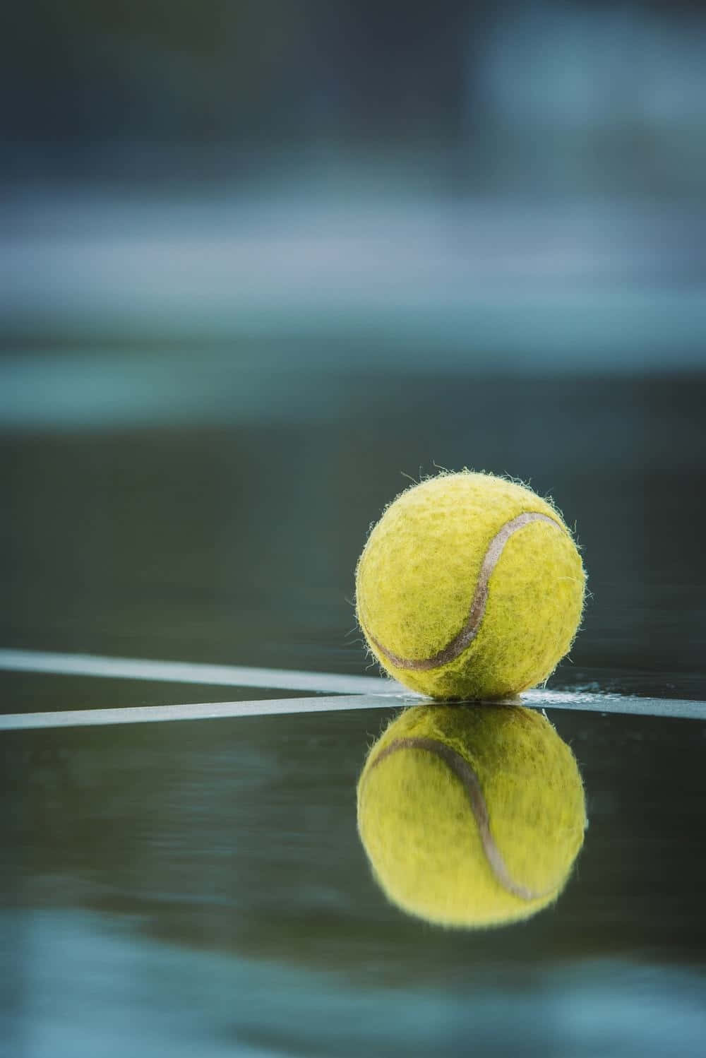tennis ball, yellow tennis ball, wet court line, HD Phone Wallpaper