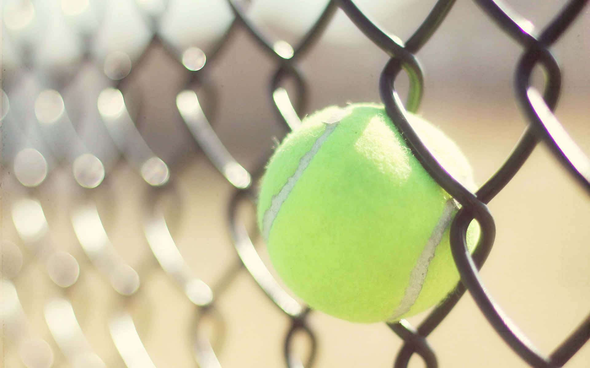 tennis ball, bright green, black chain-link fence, Full HD Desktop Wallpaper