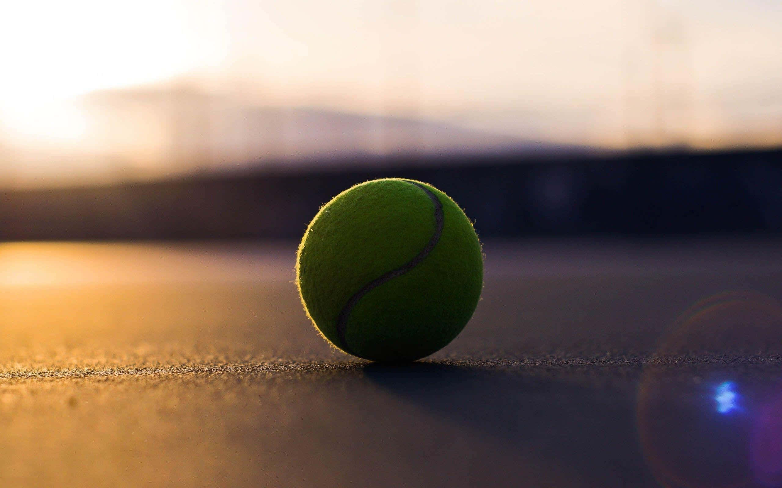 tennis ball, green, golden sunset, 2K Desktop Wallpaper