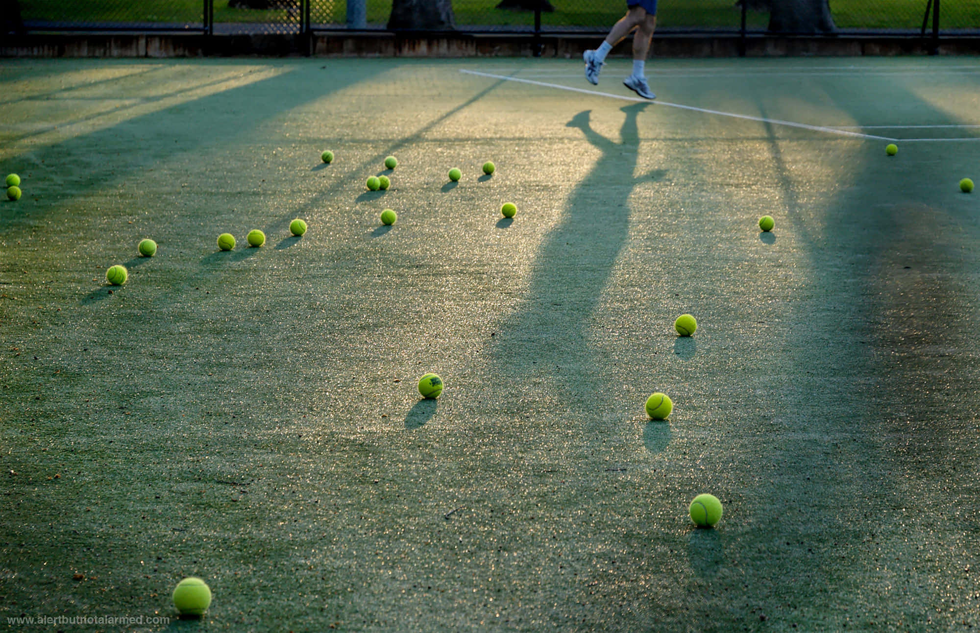 Tennis Ball, green court, bright yellow balls, Full HD Desktop Wallpaper