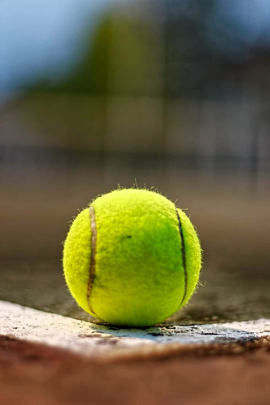 tennis ball, yellow, court, HD Phone Wallpaper