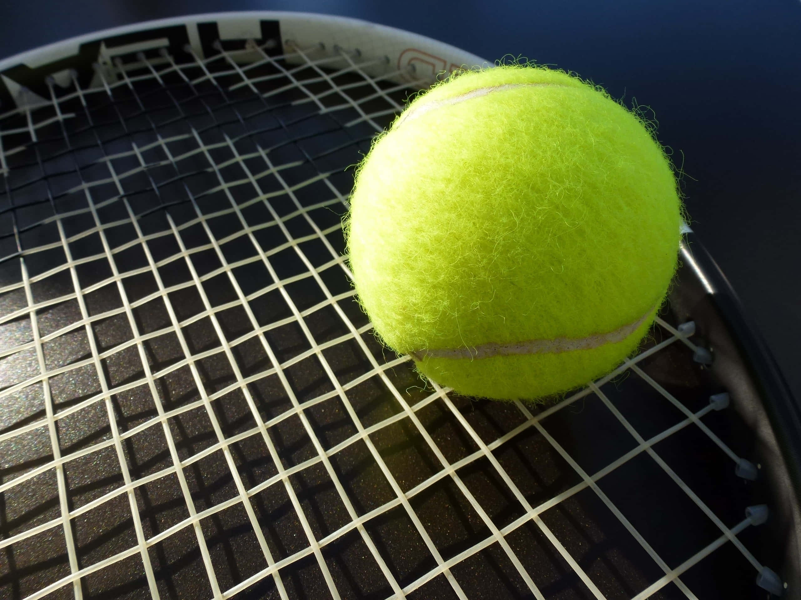 tennis ball, bright yellow, strings of a tennis racket, 2K Desktop Wallpaper