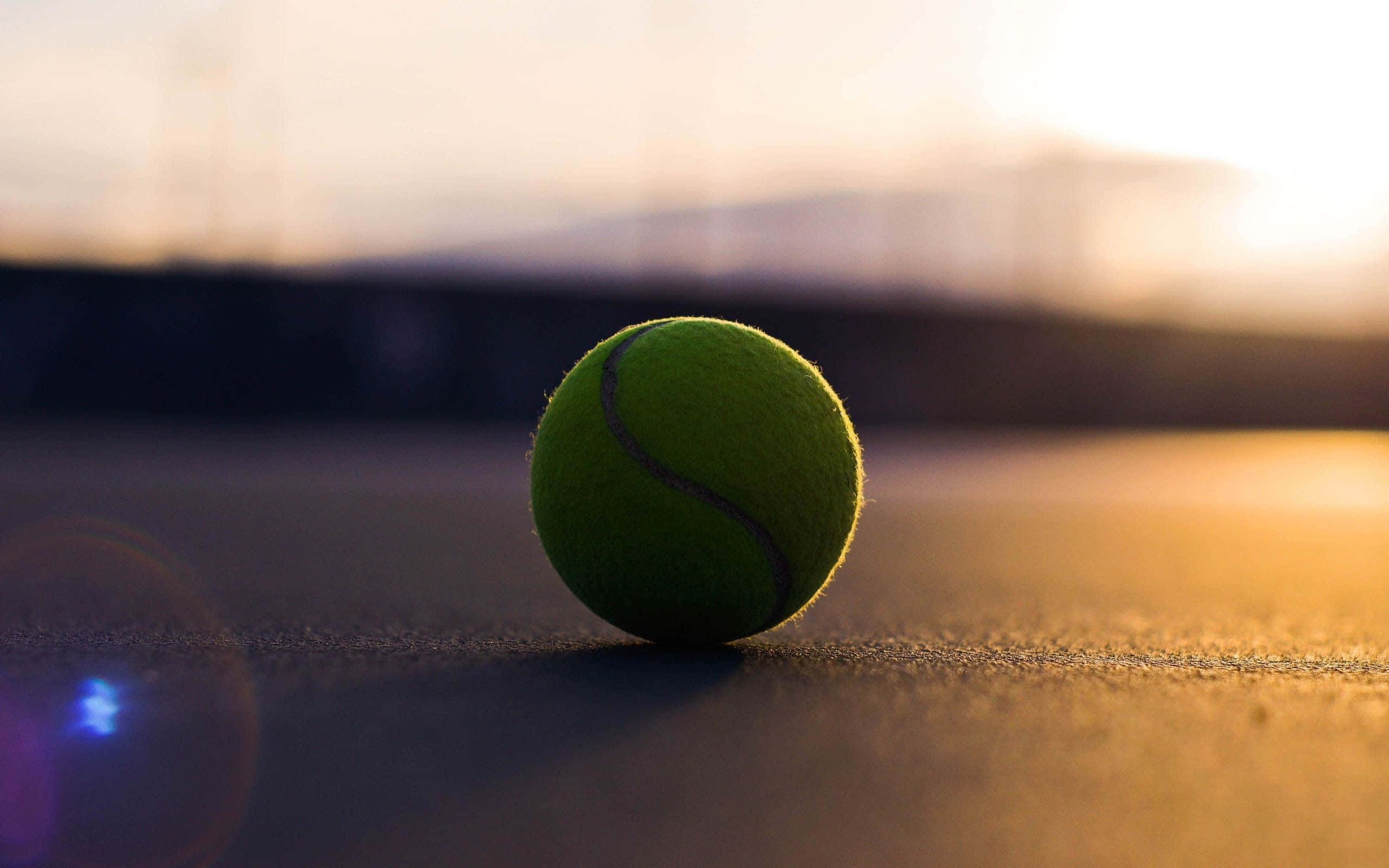 tennis ball, grass field, sunset, 2K Desktop Wallpaper