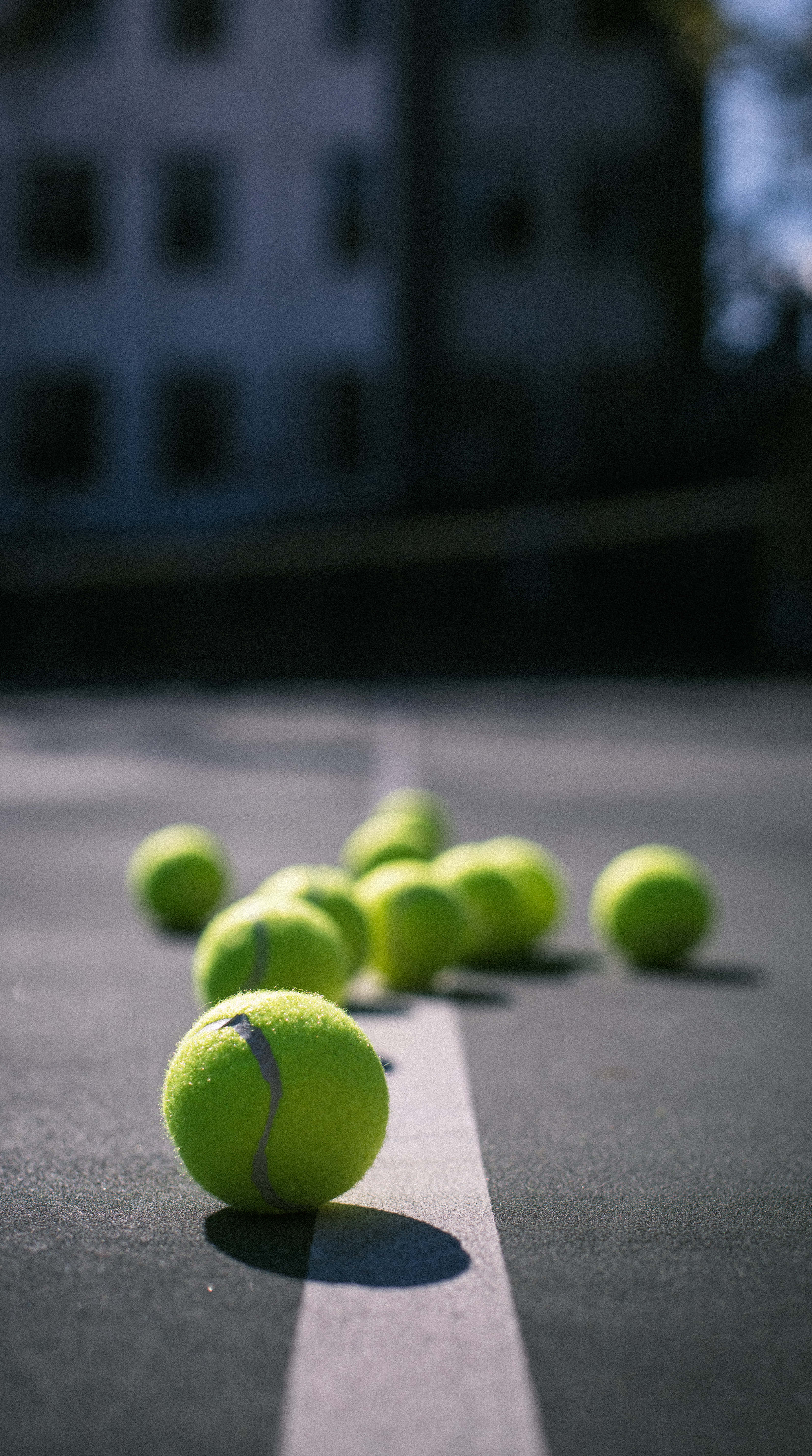 tennis ball, sunlit court, vivid green, 5K Phone Wallpaper