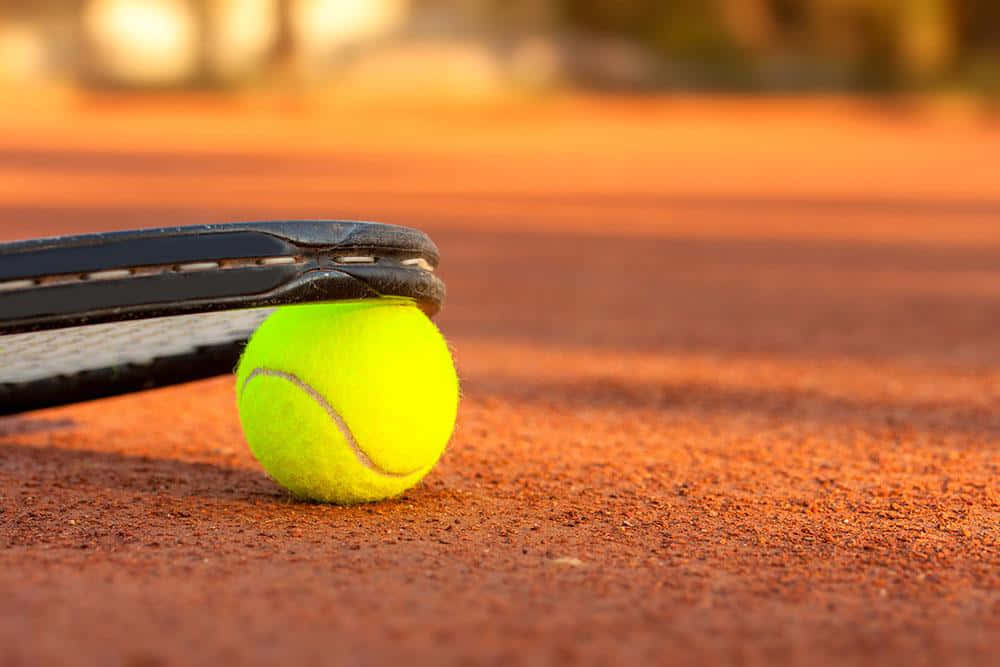 tennis ball, black racket, textured red clay court, SD Desktop Wallpaper