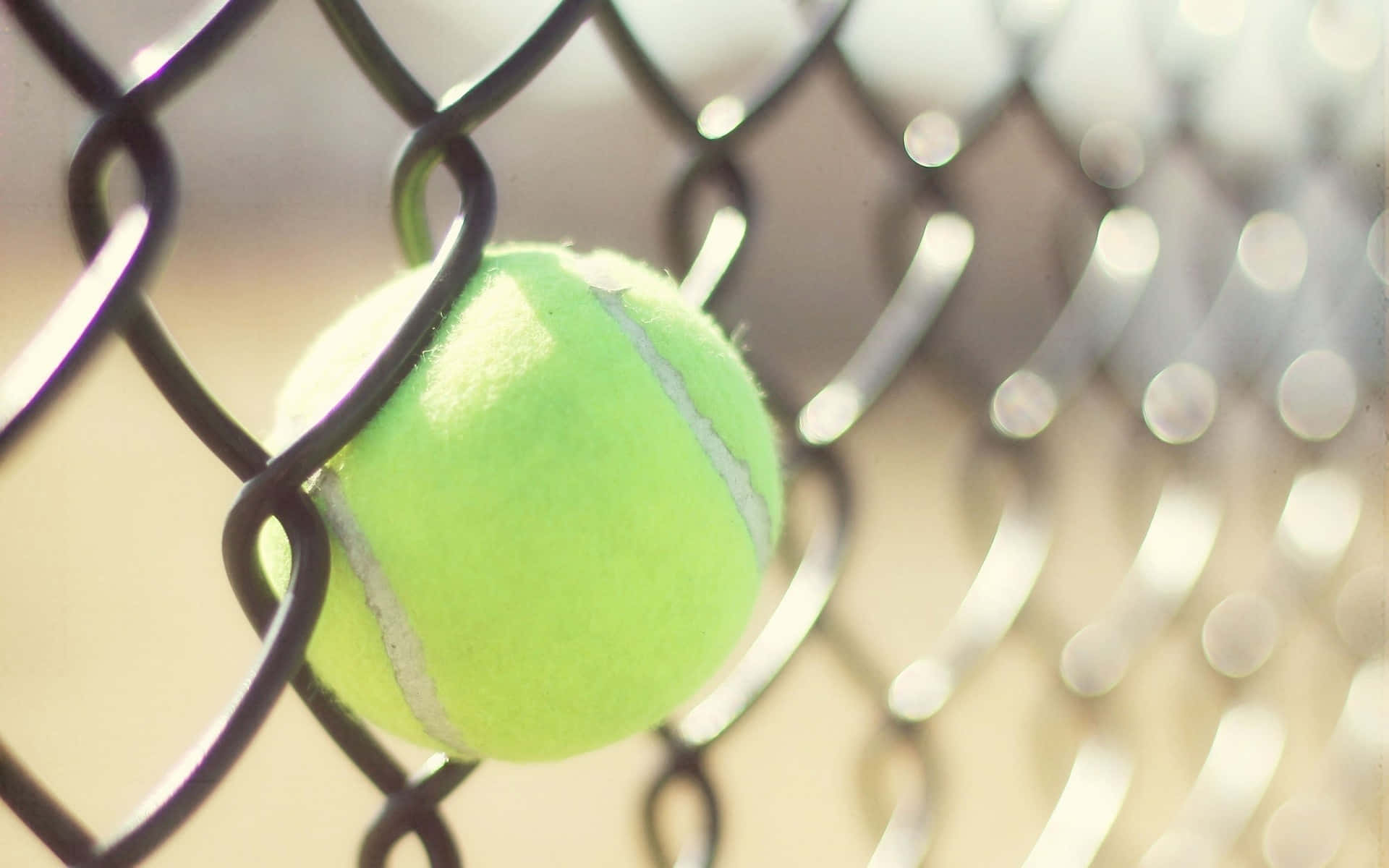 tennis ball, bright green, black chain-link fence, Full HD Desktop Wallpaper