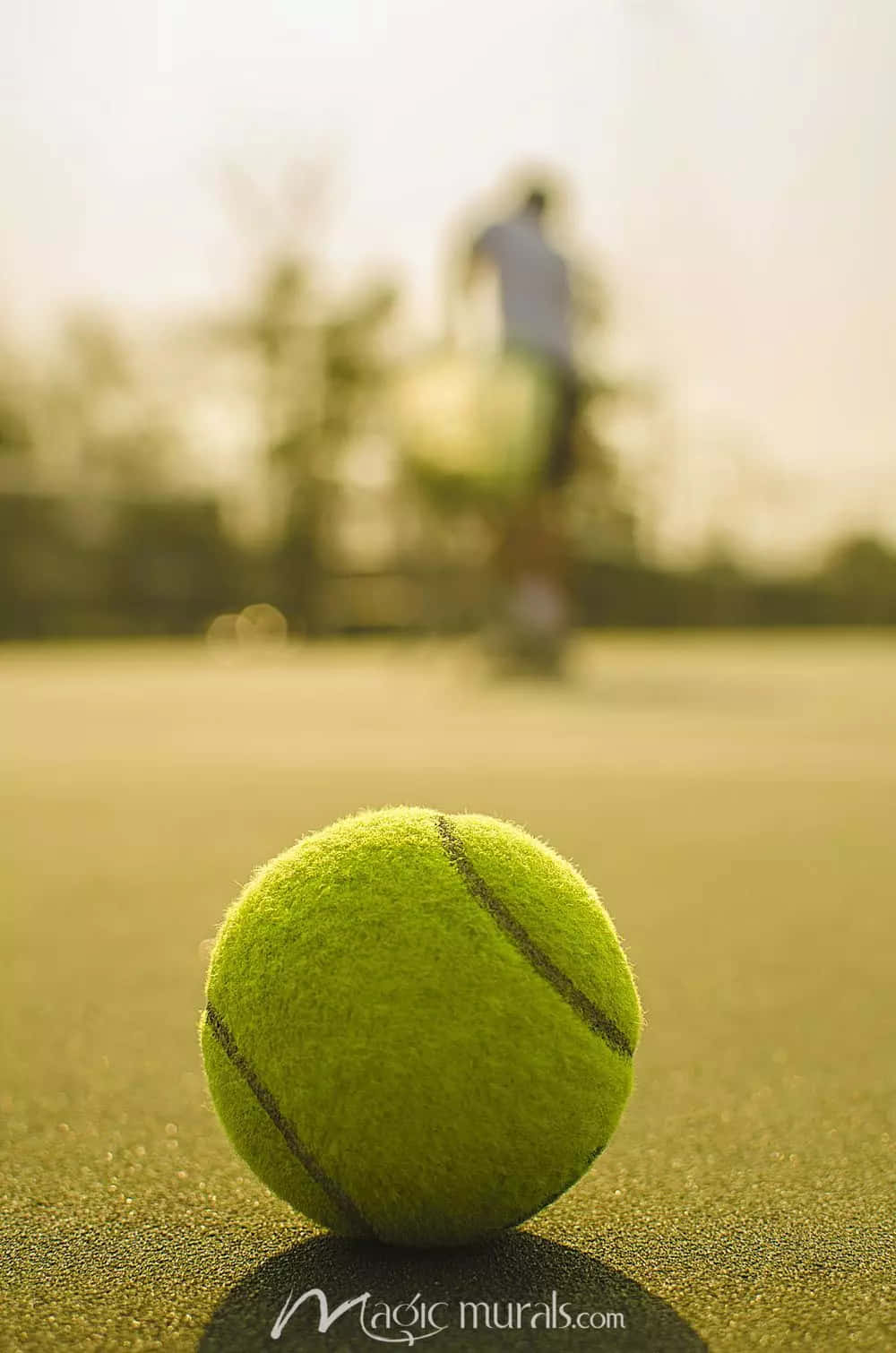 tennis ball, green tennis ball, court, HD Phone Wallpaper
