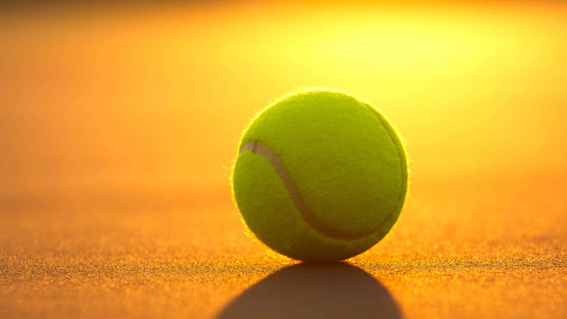tennis ball, sunlit court, golden hour, Full HD Desktop Wallpaper