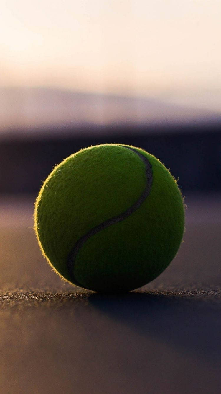 tennis ball, tennis court, warm sunset light, HD Phone Wallpaper