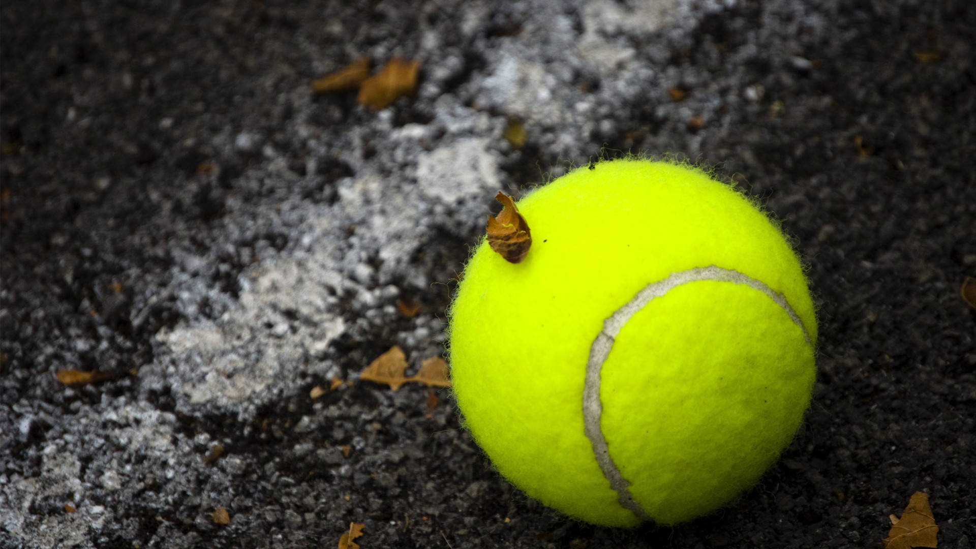 tennis ball, yellow, dark asphalt, Full HD Desktop Wallpaper