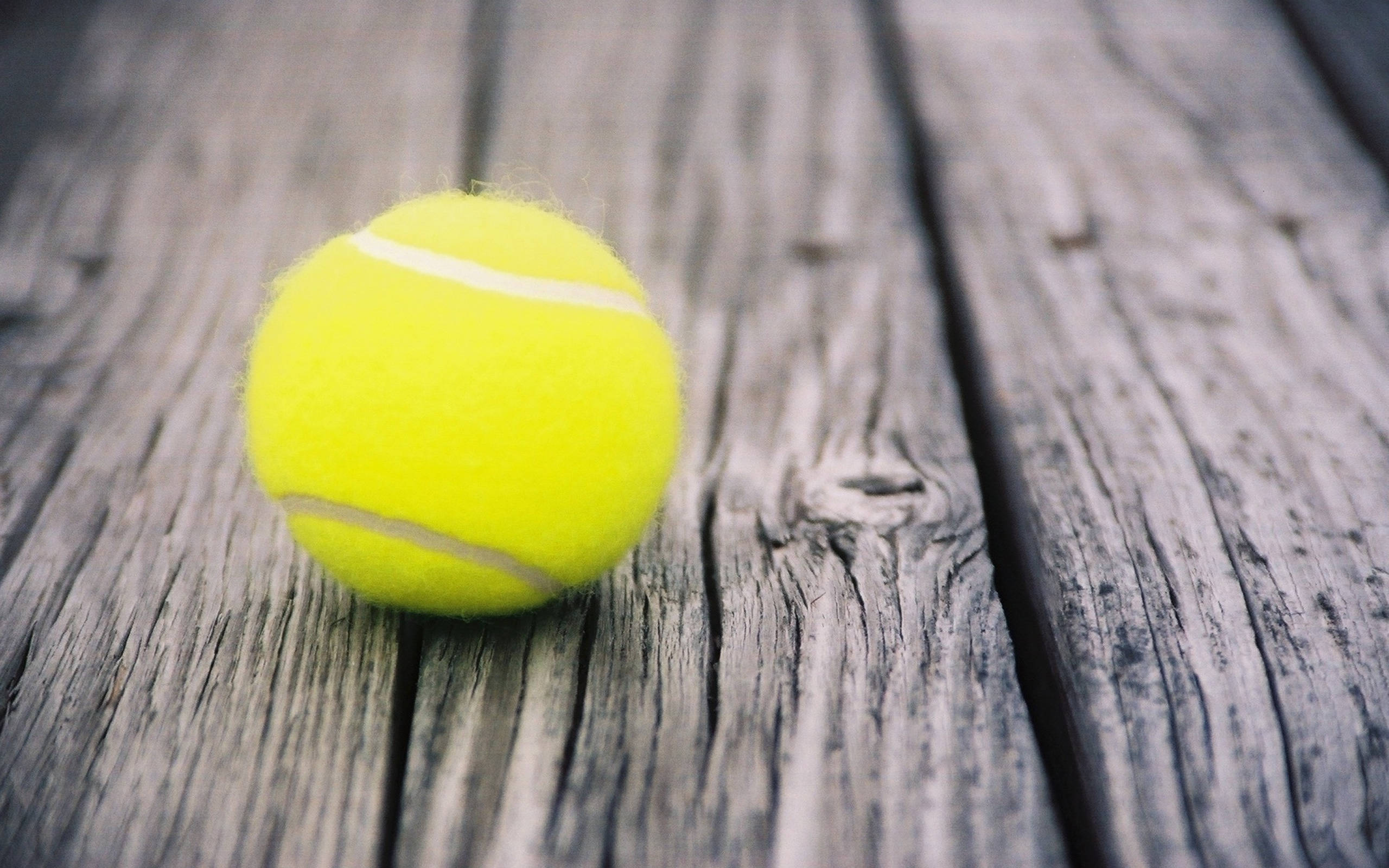 tennis ball, wood planks, bright yellow, 2K Desktop Wallpaper