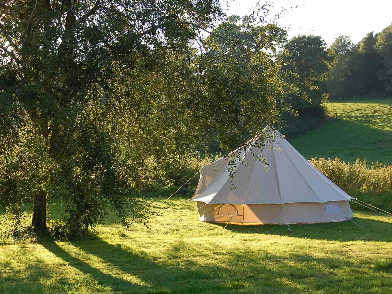 cream bell tent, sunlit grassy field, leafy trees, HD Desktop Wallpaper