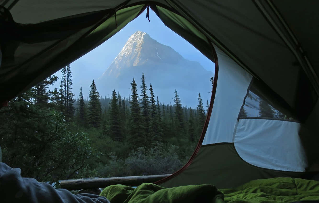 tent, snow-capped mountain, dense forest, HD Desktop Wallpaper