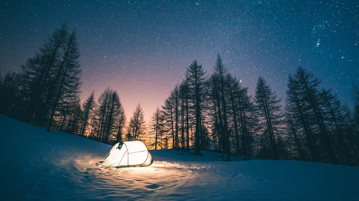 Tent, snowy woods, starry twilight sky, SD Desktop Wallpaper