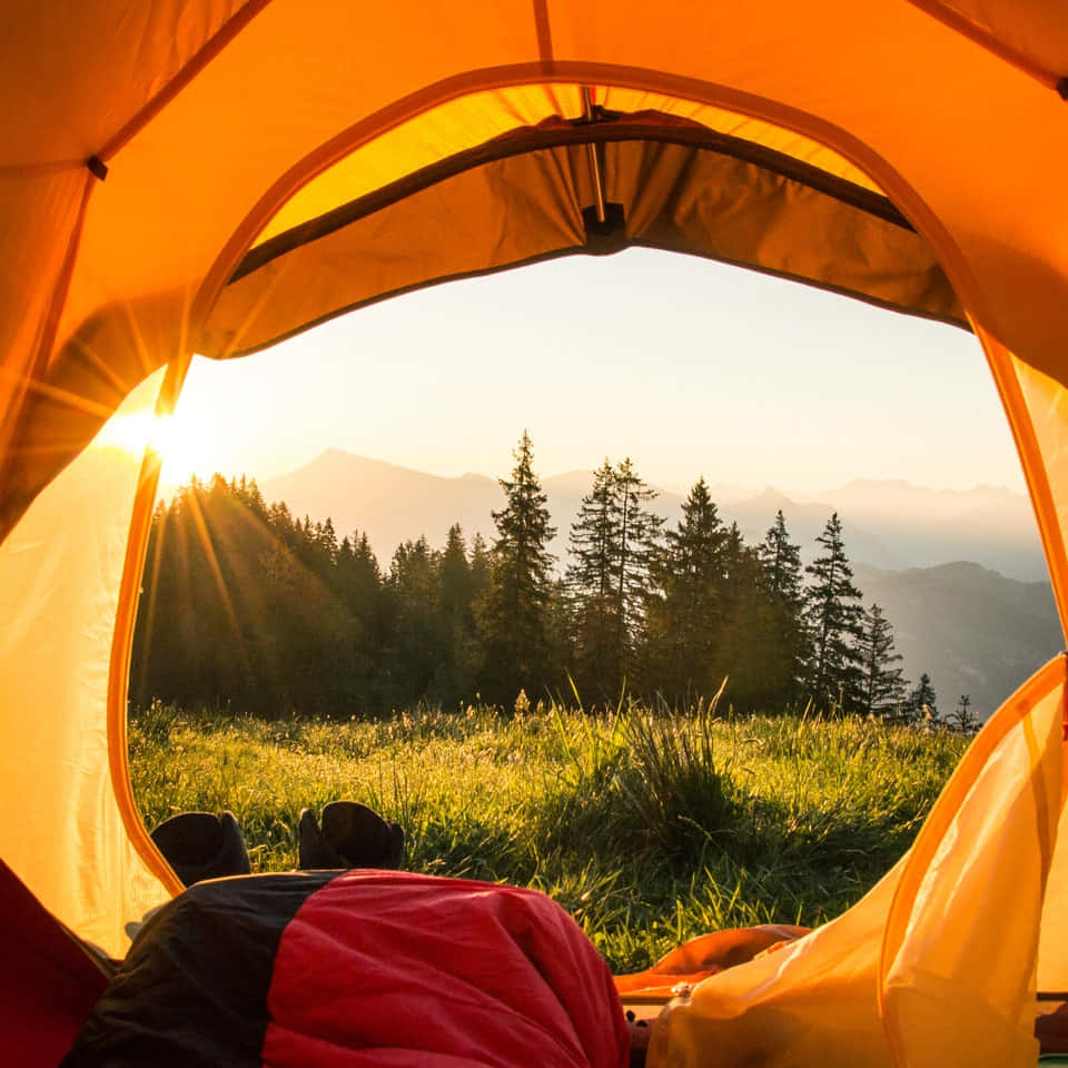 orange tent, sunrise, grassy meadow, SD Desktop Wallpaper