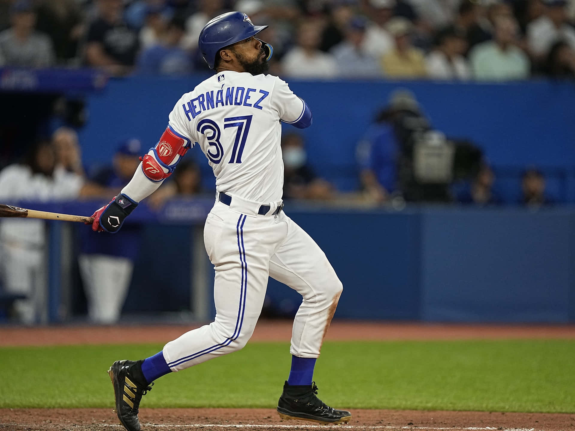 Teoscar Hernandez, number 37, white uniform, Full HD Desktop Wallpaper