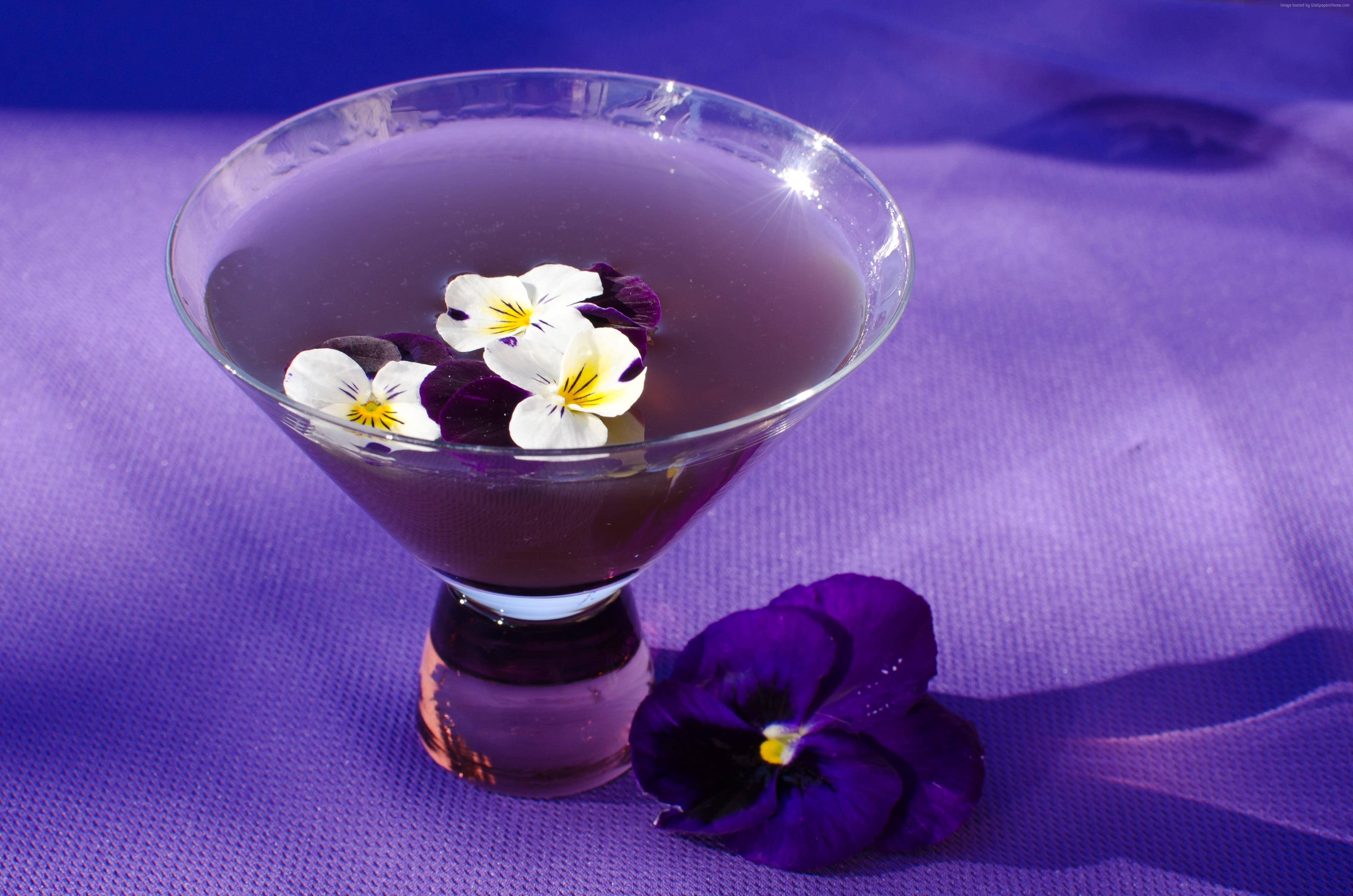 purple tequila cocktail, martini glass, purple liquid, 4K Desktop Wallpaper