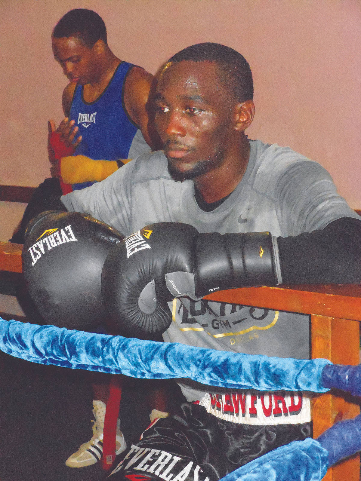 Terence Crawford, gray shirt, black gloves, HD Phone Wallpaper