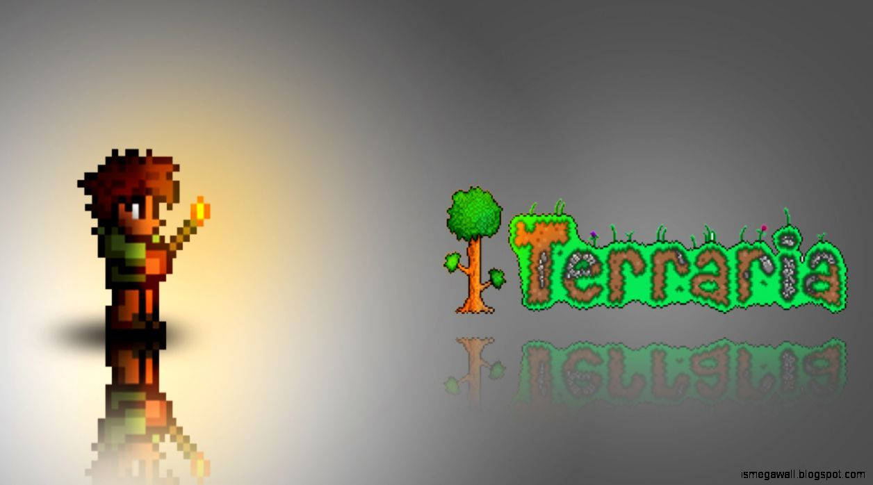 Terraria, Terraria Guy, torch, SD Desktop Wallpaper
