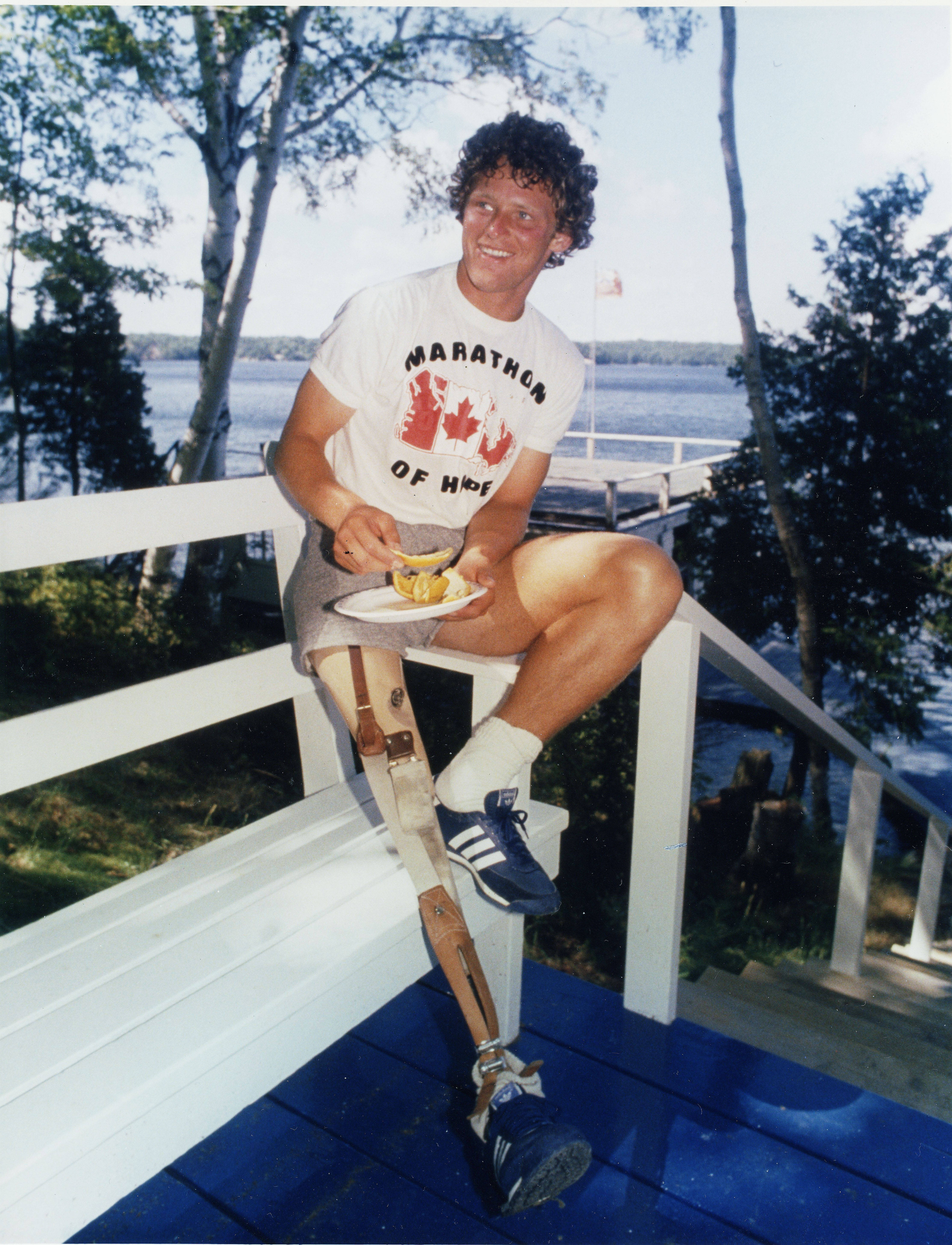 Terry Fox, white bench, blue wooden dock, 5K Phone Wallpaper