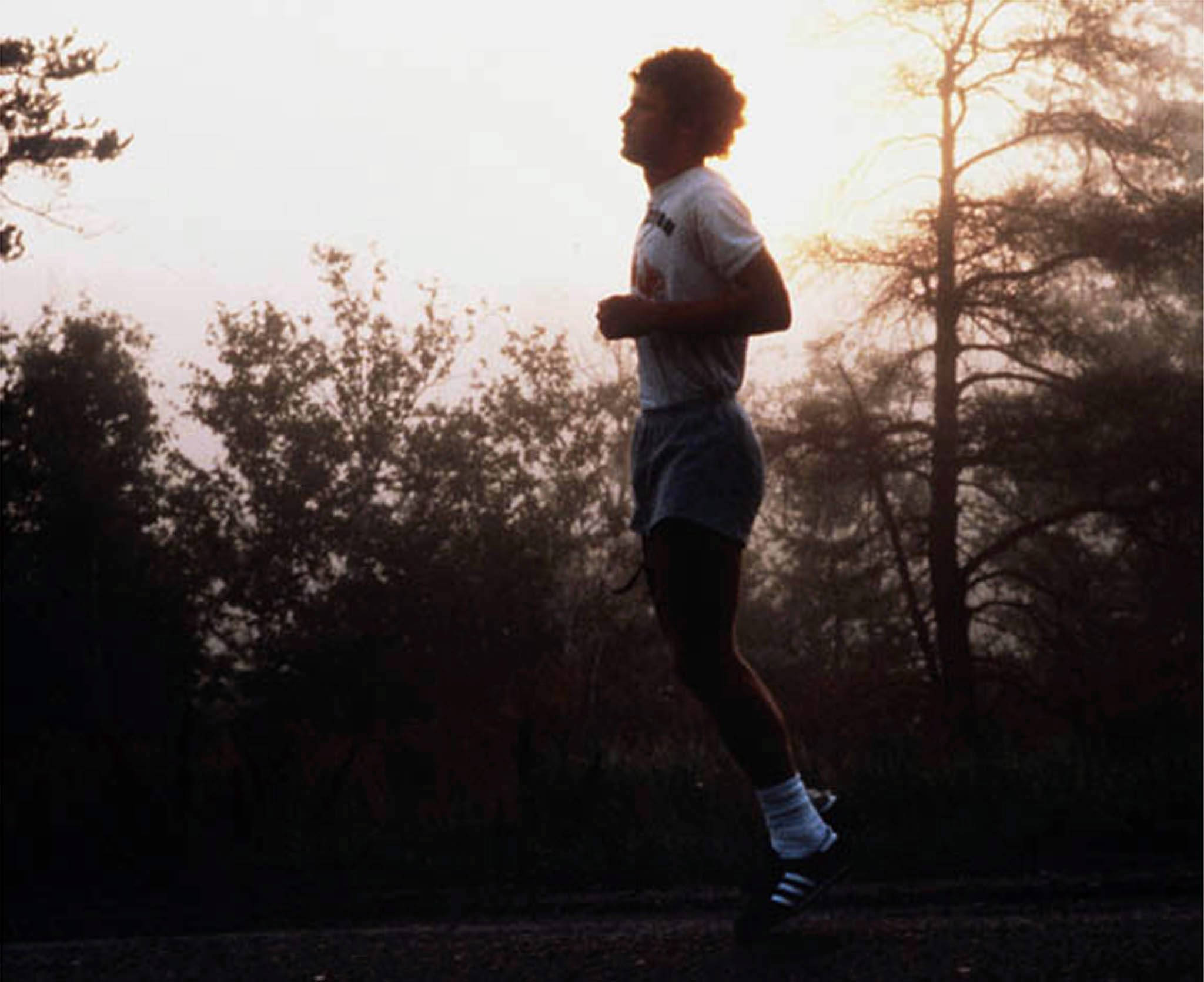 Terry Fox, sunrise, tree-lined path, Full HD Desktop Wallpaper