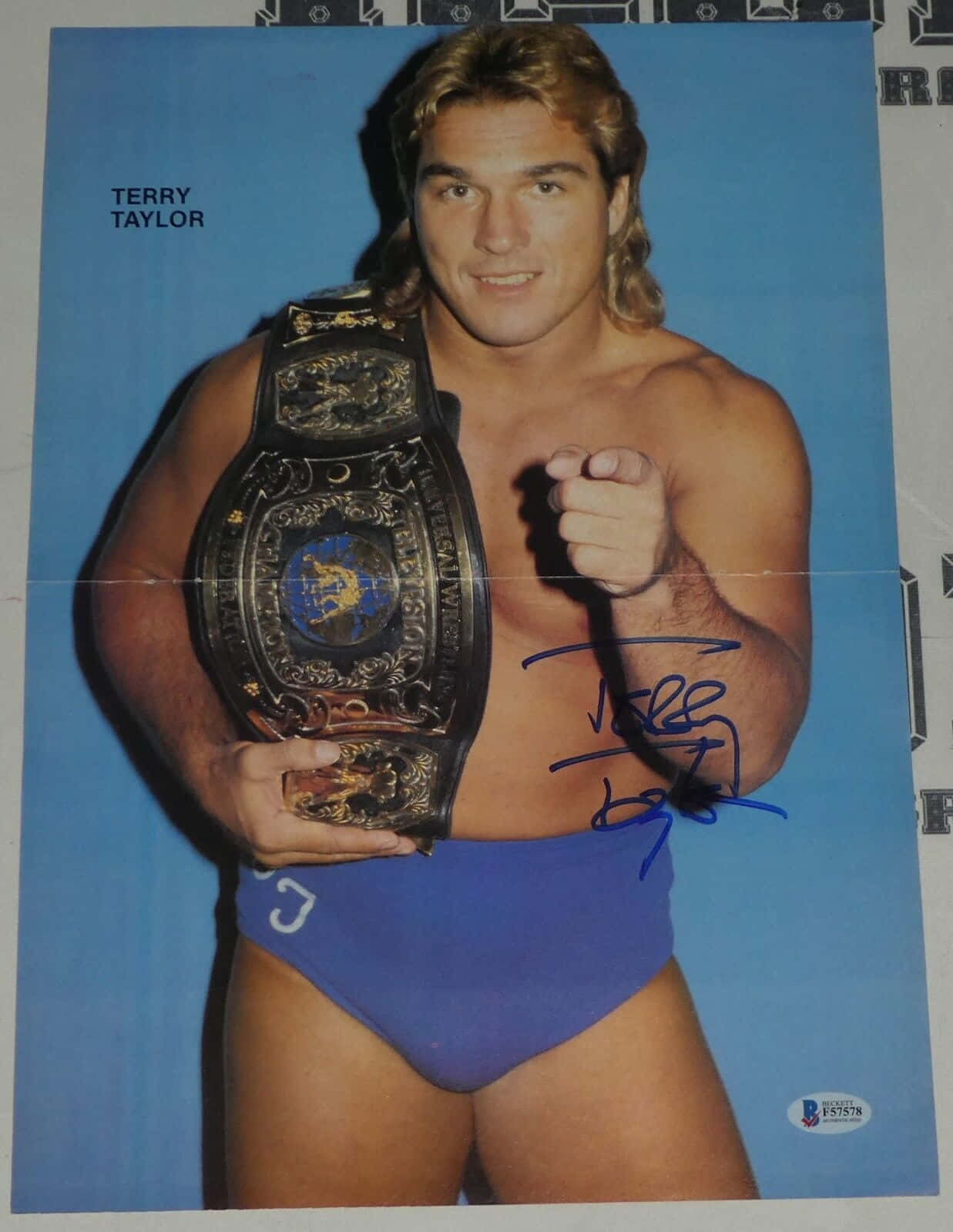 Terry Taylor, blue wrestling trunks, championship belt, HD Phone Wallpaper