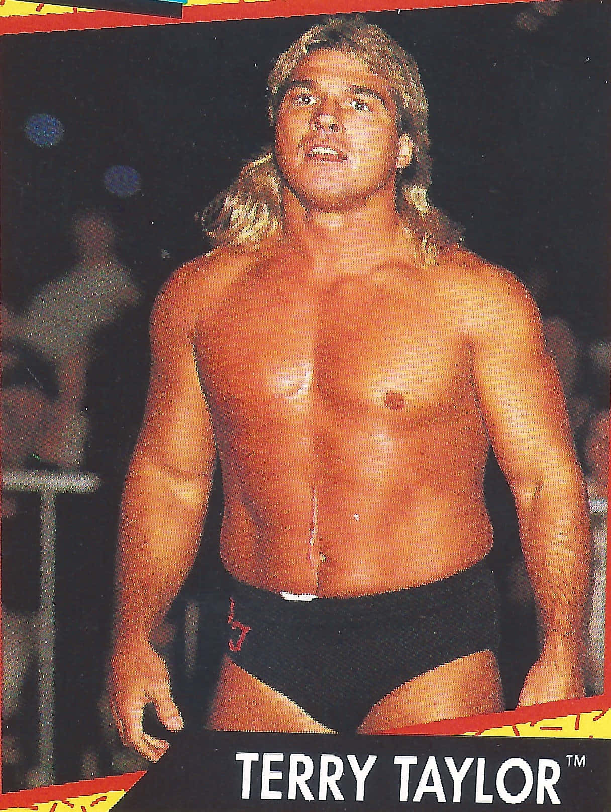 Terry Taylor, classic wrestling, muscular wrestler, HD Phone Wallpaper