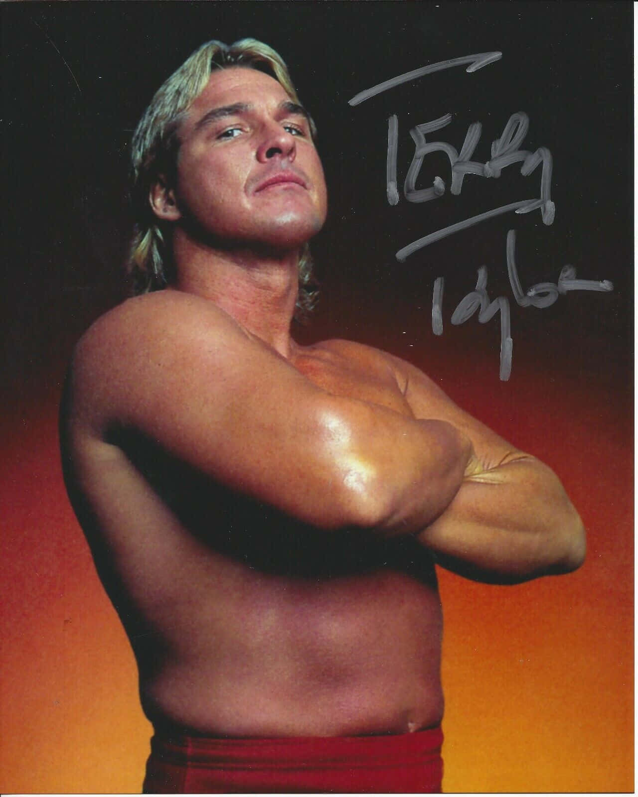 Terry Taylor, autograph, portrait, HD Phone Wallpaper
