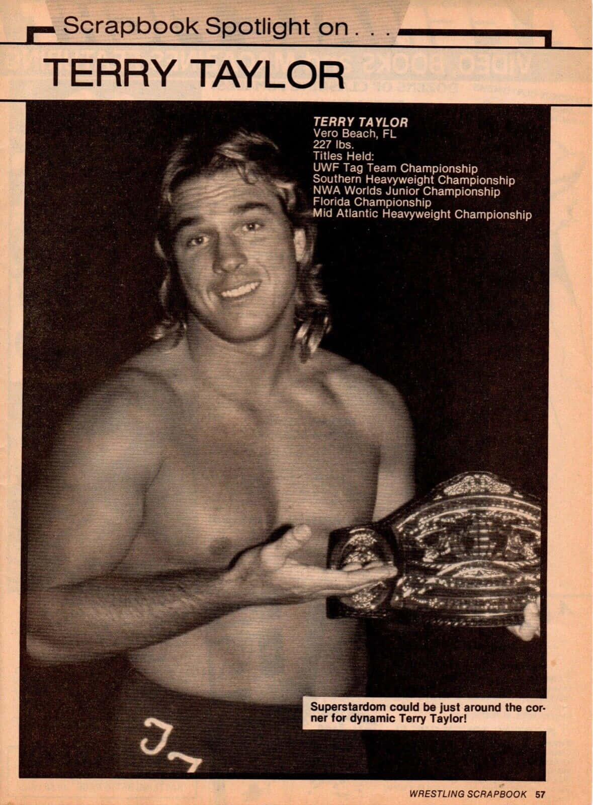 Terry Taylor, championship belt, vintage wrestling scrapbook spread, HD Phone Wallpaper