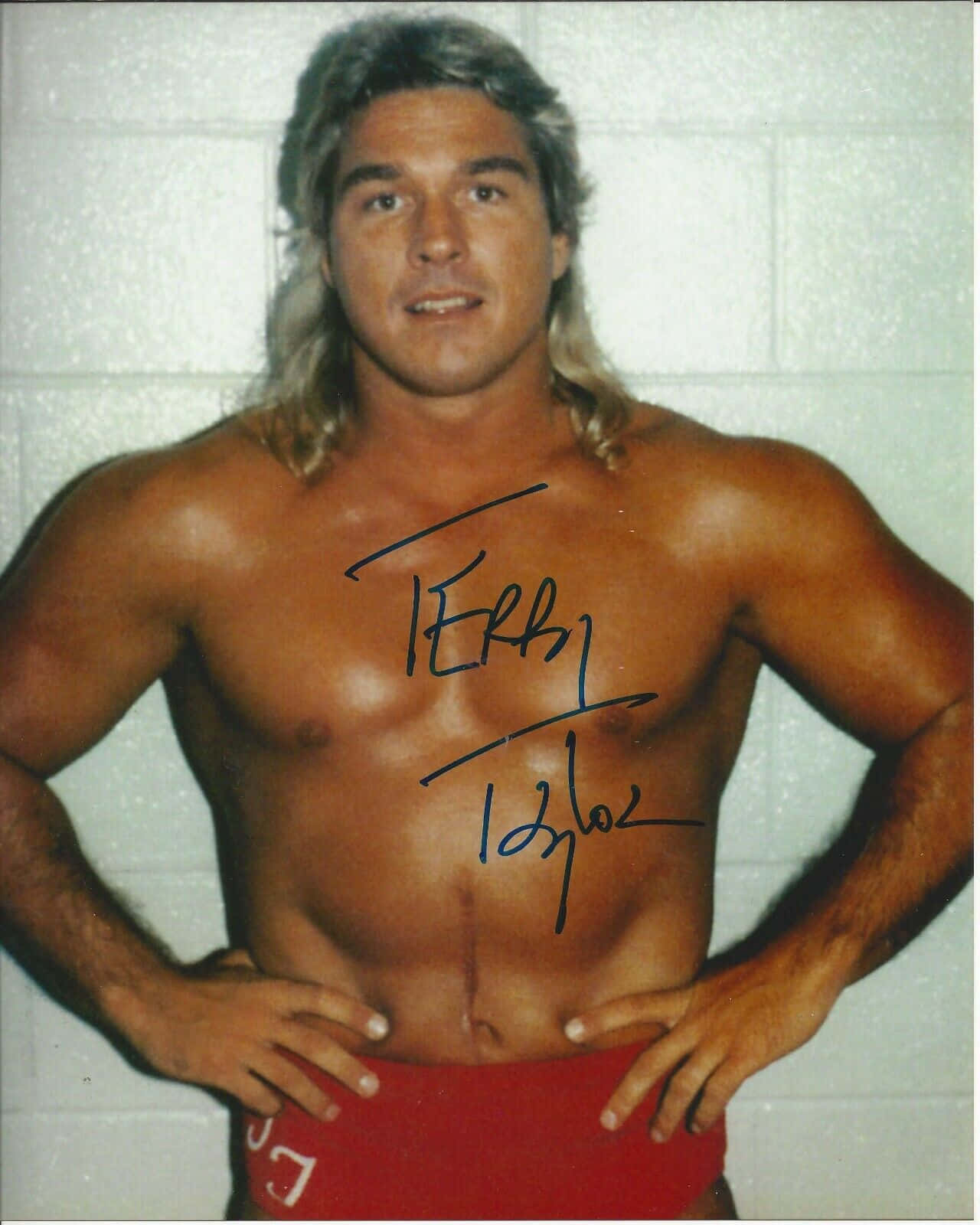 Terry Taylor, mullet hairstyle, red wrestling trunks, HD Phone Wallpaper