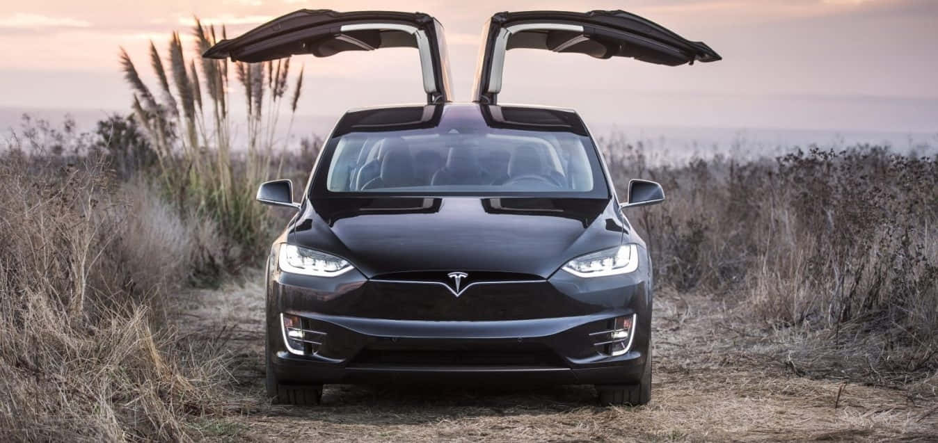 Tesla Model Y, gull-wing doors, sleek black, HD Desktop Wallpaper
