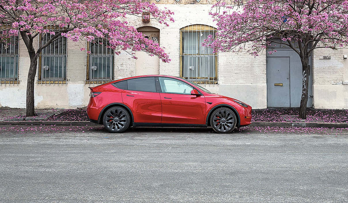 Tesla Model Y, vibrant red, blooming pink cherry trees, SD Desktop Wallpaper