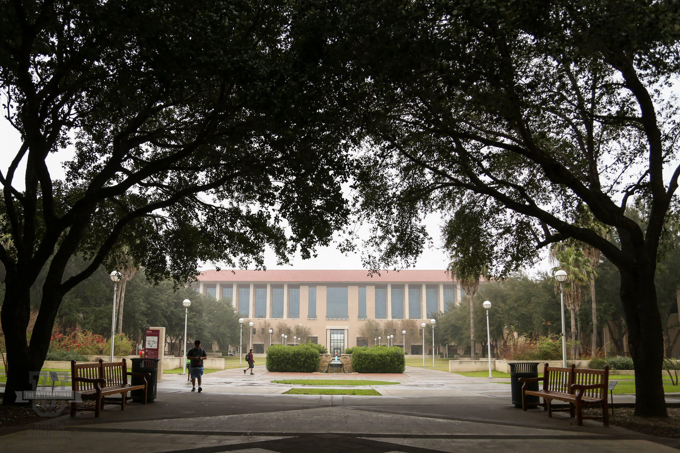 Texas AM University, campus grounds, grand university building, Full HD Desktop Wallpaper
