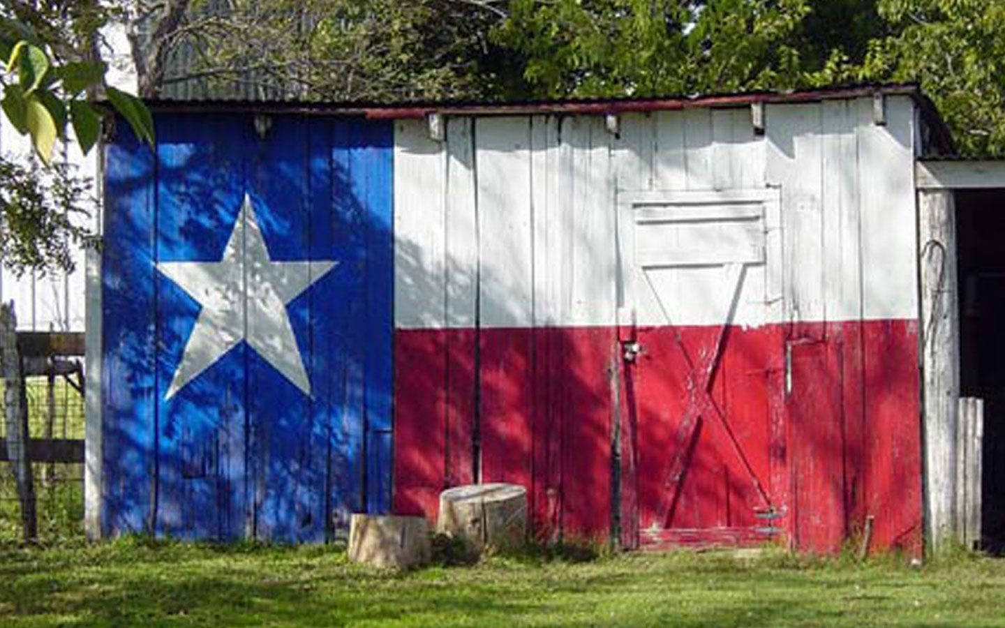Texas flag, weathered wooden shed, grassy yard, HD Desktop Wallpaper